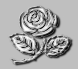 [rose chrom&eacute;e]