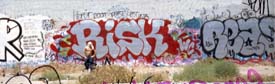 risk.motoryardx.jpg