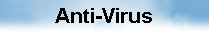  Anti-Virus 