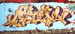 astek_mi_sacramento2x.jpg