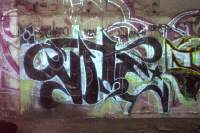 witer2x.jpg