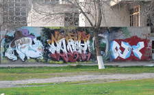rost2x.jpg