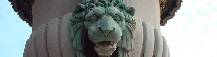 Columbia lion