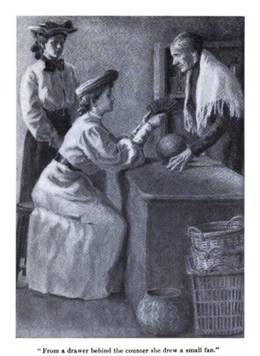 Illustration: From a drawer behind the counter she
drew a small fan.