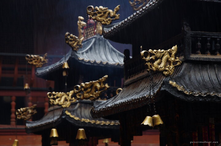 Beautiful details of golden dragons on shrines at
Qingcheng