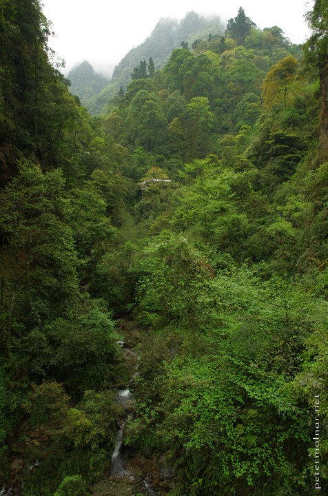 Emei Mountain: the home of the first ever Buddhist monastery in
China