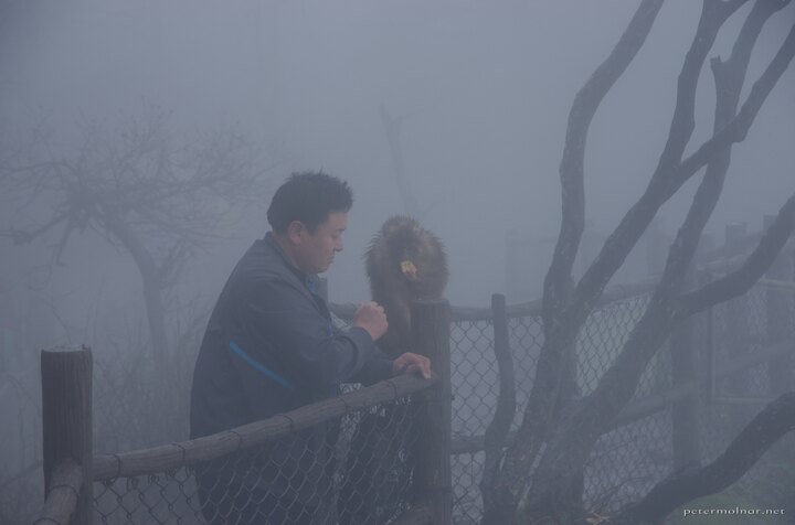 A man with a curious monkey at Mount Emei
