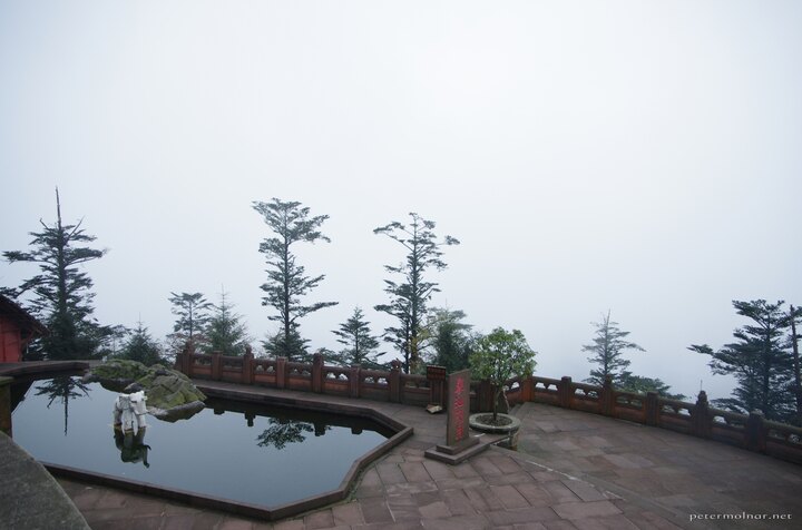 Elephant bathing pool - a pond in the monastery with an elephant
statue