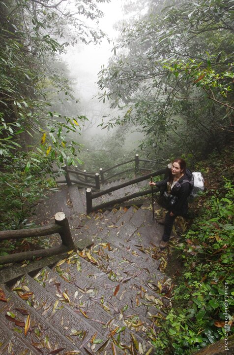 The stairs of Emeishan can get rather steep